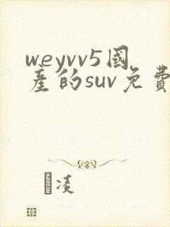 weyvv5国产的suv免费