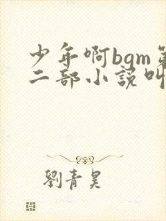 少年啊bgm第二部小说叫什么
