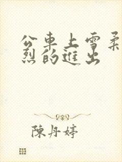 公车上雪柔被猛烈的进出