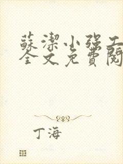 苏洁小强工地情全文免费阅读