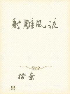 射雕风流