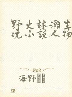 野火林潮生林晚晚小说人物野火