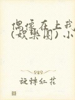 偶像在上我在下(娱乐圈) 小说免费阅读