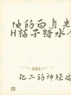 他的白月光HVH桔子糖水全文