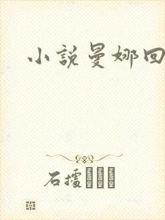 小说曼娜回忆录