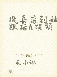 机长脔到她哭h粗话h视频