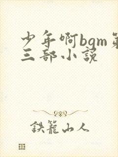 少年啊bgm第三部小说