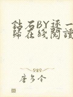 钻石BY逐一而归在线阅读