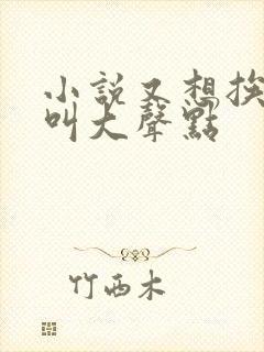 小说又想挨C了叫大声点