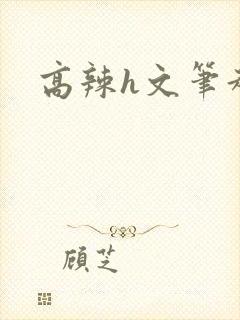 高辣h文笔趣阁