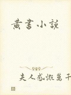 黄书小说
