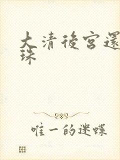 大清后宫还君明珠