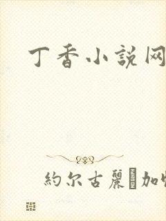 丁香小说网