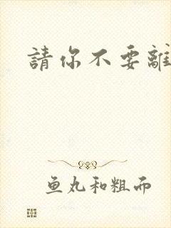 请你不要离开我