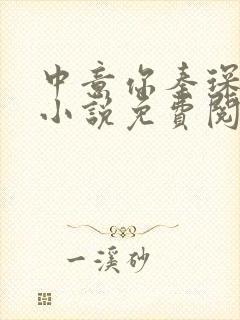 中意你秦琛苏沫小说免费阅读