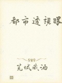 都市透视眼