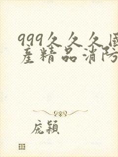 999久久久国产精品消防器材