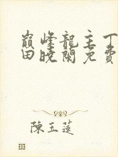 巅峰龙主丁长顺田晓兰免费阅读