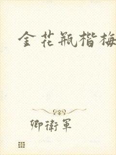 金花瓶楷梅花3封面