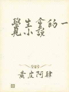 学生会的一己之见小说