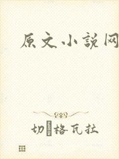 原文小说网