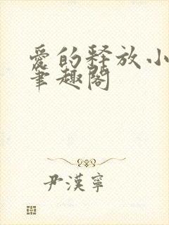 爱的释放小说 笔趣阁