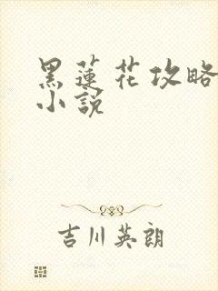 黑莲花攻略手册小说