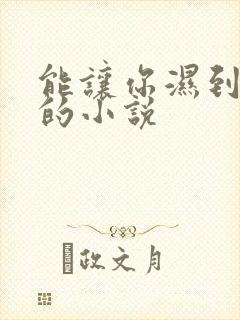 能让你湿到不行的小说