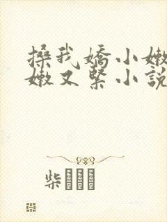 搡我娇小嫩苞又嫩又紧小说