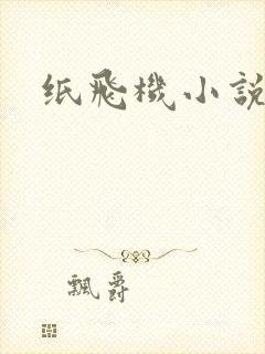 纸飞机小说