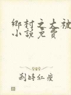 乡村之大被同眠小说免费