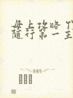 母上攻略 竹影随行第一主板