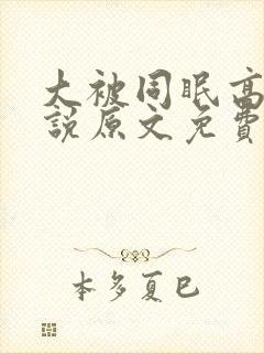 大被同眠高粱小说原文免费阅读