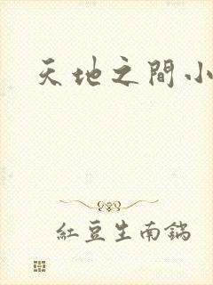 天地之间小说