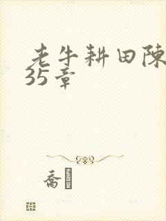 老牛耕田陈雪435章