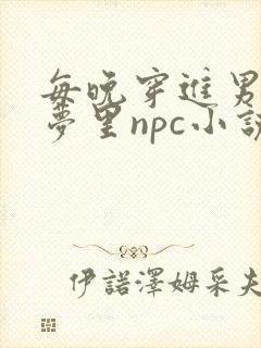 每晚穿进男神的梦里npc小说