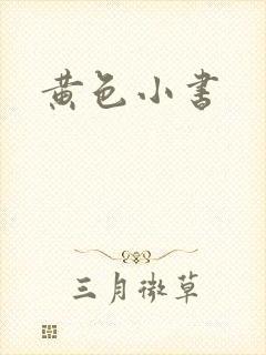 黄色小书