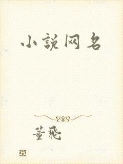 小说网名