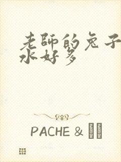 老师的兔子好软水好多