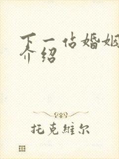 下一站婚姻剧情介绍