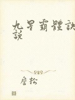 九星霸体诀 小说