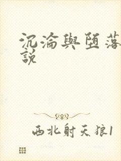 沉沦与堕落的小说