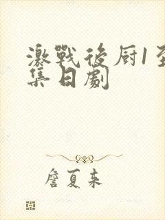 激战后厨1至5集日剧