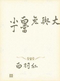 小白兔与大灰狼丁当