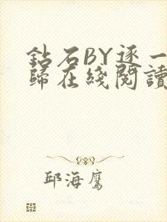 钻石BY逐一而归在线阅读