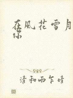 在风花雪月里等你