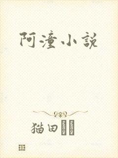 阿潼小说