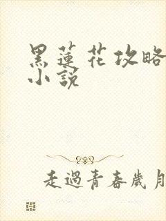 黑莲花攻略手册小说