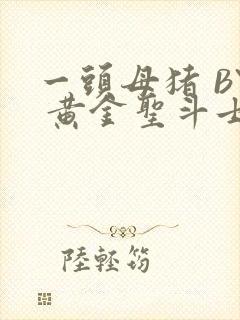 一头母猪 BY 黄金圣斗士