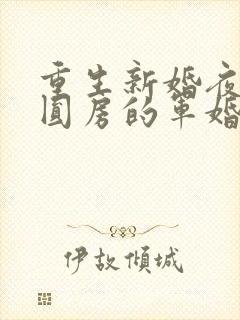 重生新婚夜正在圆房的军婚